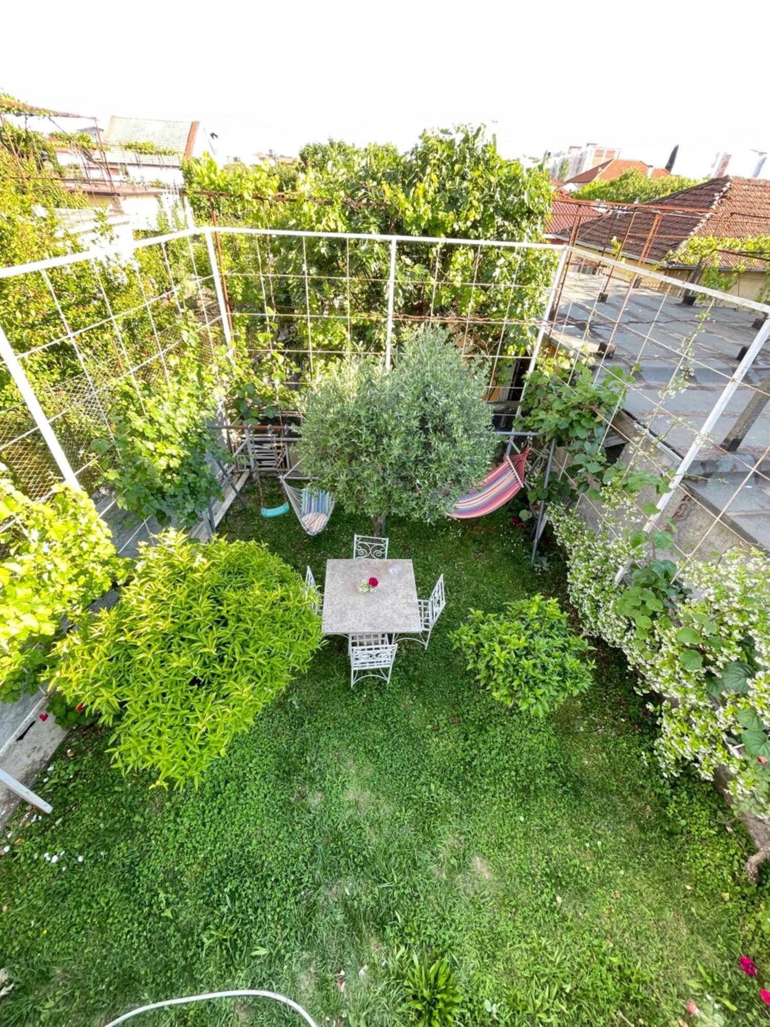 Vila Nela Shkodër Exteriör bild