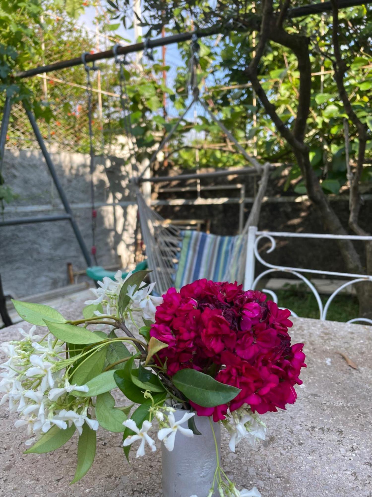 Vila Nela Shkodër Exteriör bild