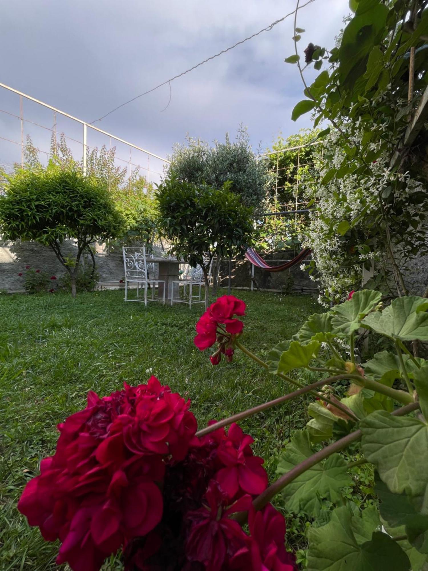 Vila Nela Shkodër Exteriör bild