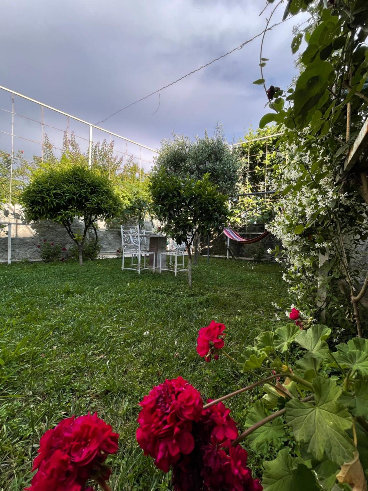 Vila Nela Shkodër Exteriör bild